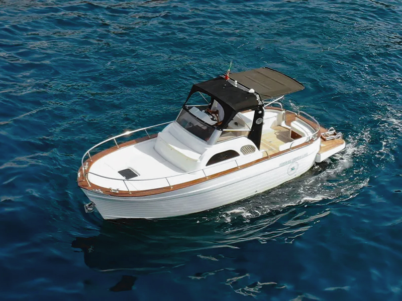 gozzo-sparviero-700-01