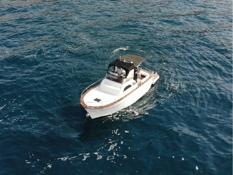 gozzo-sparviero-700-04
